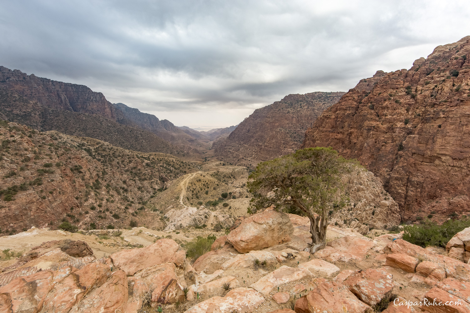 Dana Biosphere Reserve